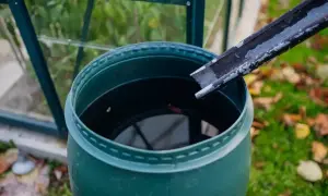 Woda opadowa spływa rynną do zielonej beczki. Jesienne liście leżą na trawie.