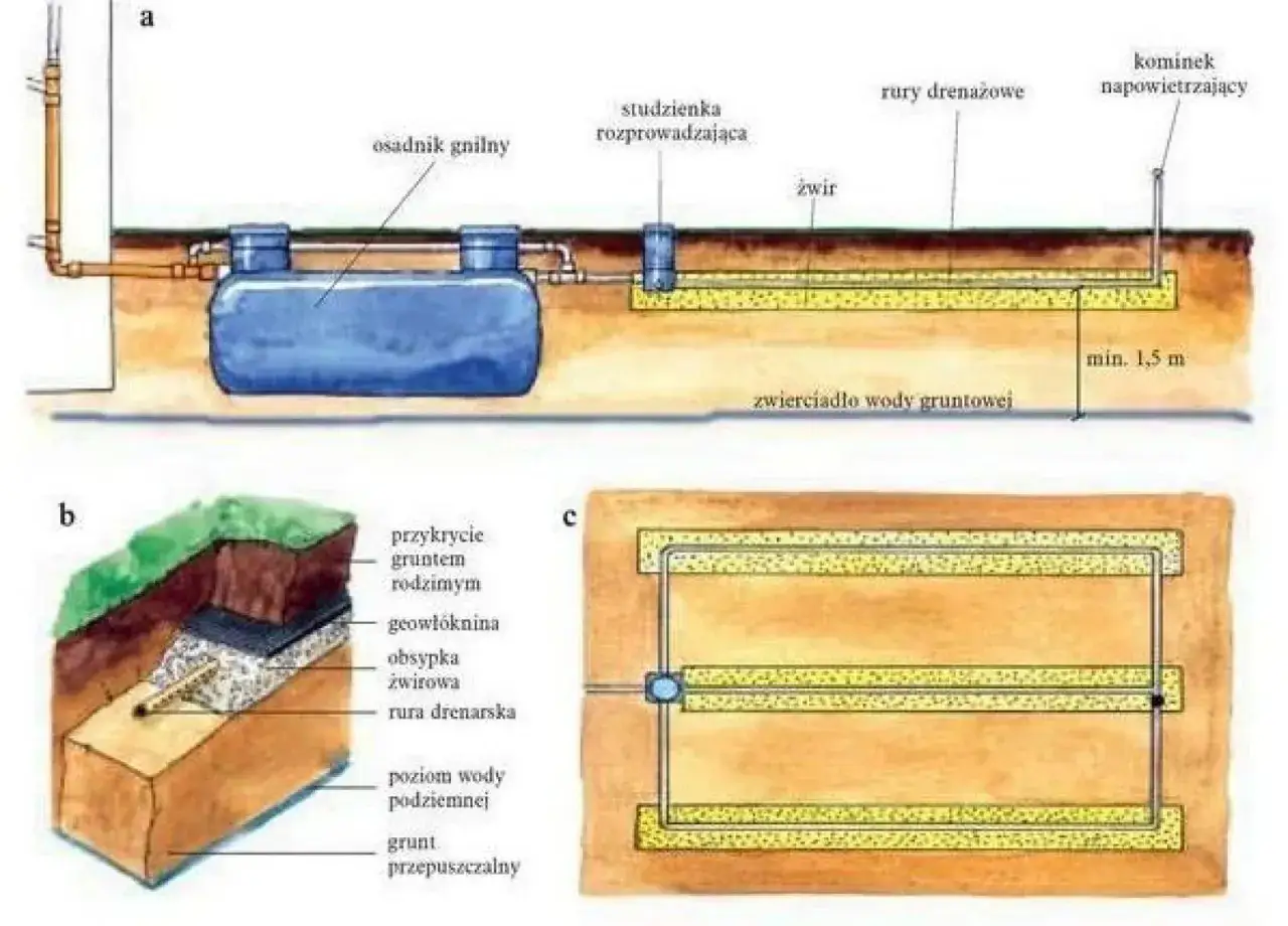 Schemat instalacji rozsączającej ścieki: osadnik gnilny, studzienka rozprowadzająca, rury drenażowe i żwir tworzą system, który działa jak studnia chłonna.